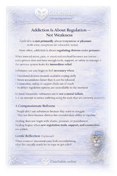 Addiction WorkBook Preview Page preview